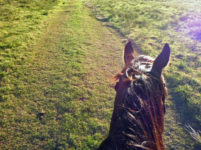 A photo taken by my friend Kim during our horseback ride in beautiful Kohala.