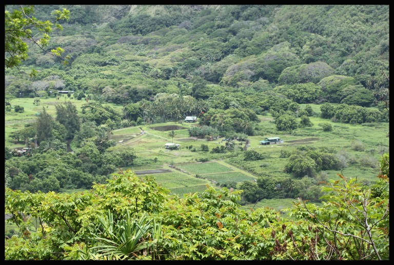 Waipi'o Valley Town Overlook