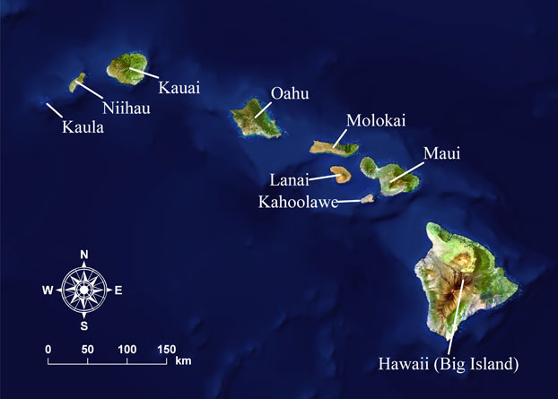 Credit: http://oos.soest.hawaii.edu/