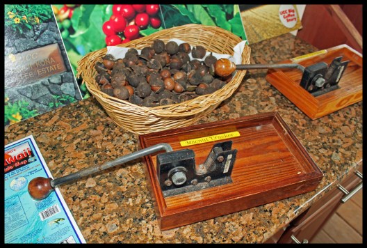 It's not only the coffee that you can sample!