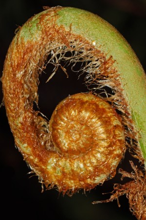 Jun 22 2013_1663_edited-1