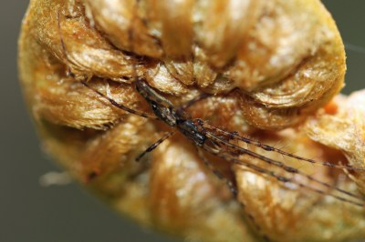 Jun 22 2013_1667_edited-1