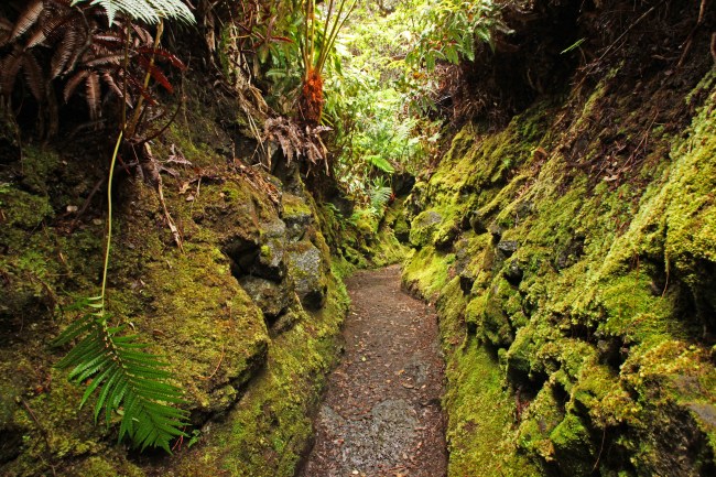 Jun 22 2013_1673_edited-1