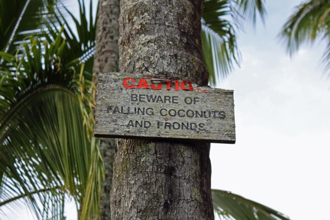 Jun 22 2013_1688_edited-1