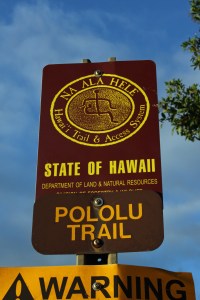 Jul 20 2013_2852_edited-1