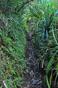 Jul 20 2013_2988_edited-1