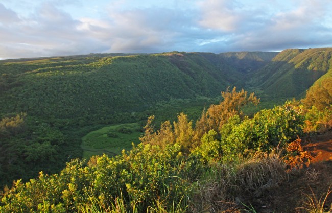 Pololu Valley 14_edited-1