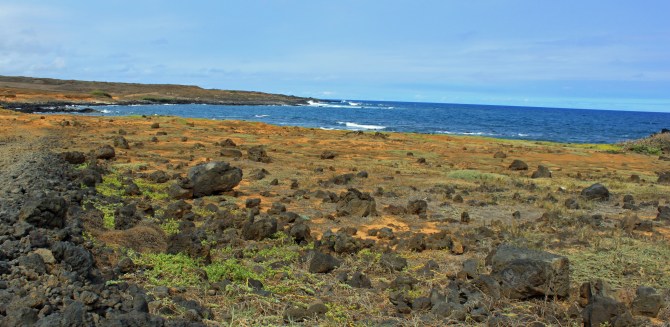 Jul 06 2013_2506_edited-1