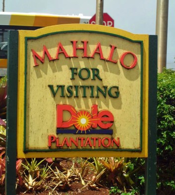 Pretty big disappointment. (Photo courtesy of Kim)