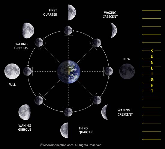 Credit - http://www.moonconnection.com/images/moon_phases_diagram.jpg