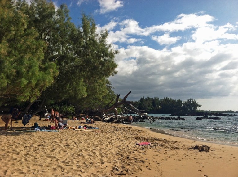 Beach 69, plenty of shade, trees and blue waters