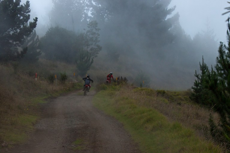 What was bad for our car made great adventures for many people we saw riding or driving by.