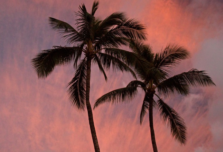 When we finally arrived back at sea level, the sun disappeared behind some clouds well before it actually set. However, it did provide some beautiful reflections off of overhead, you guessed it, clouds.