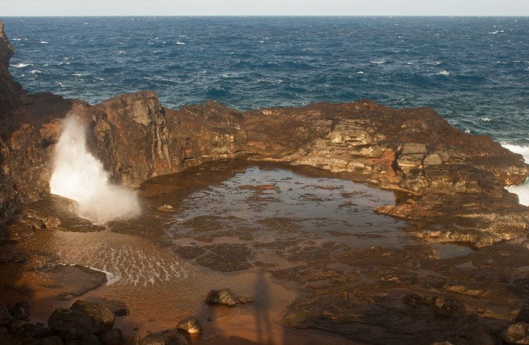 A decoy blowhole on the way to the real one!
