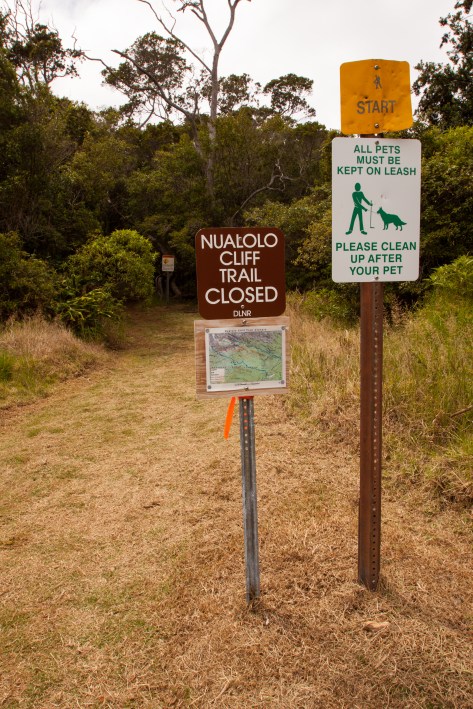 Our trailhead, which started from Waimea Canyon and descended 1500 feet to overlook the Na Pali coast. It paralleled another similar trail, and the connecting piece was closed due to poor weather.