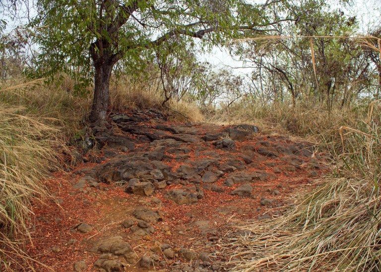 The loose rocks on the trail wouldn't be so bad if they weren't covered by the long grasses on the path. In the beginning of the hike, you can't even see the rocks underfoot, and footing is unsteady.