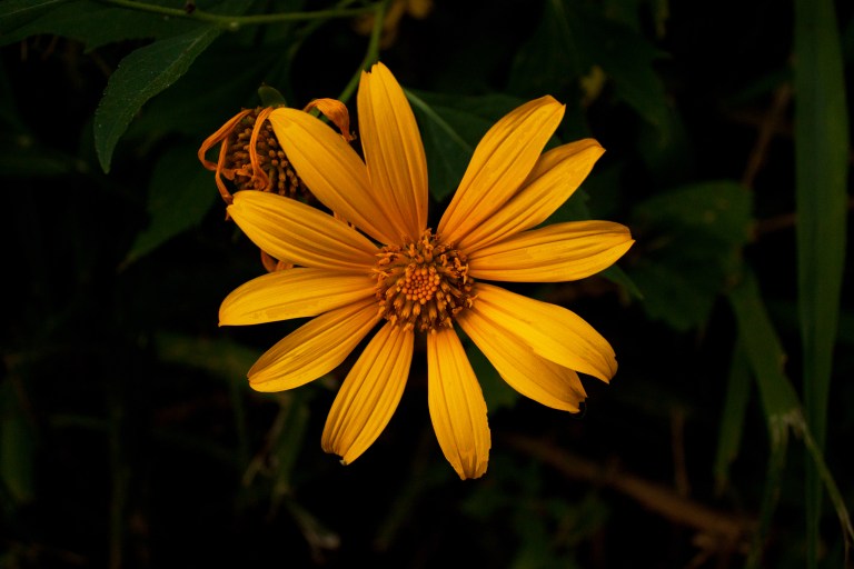 This was one of the most interesting sights of the hike, besides the next photo.