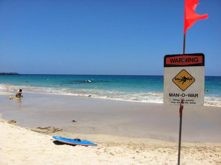 1006224_10200361463418959_850922811_n