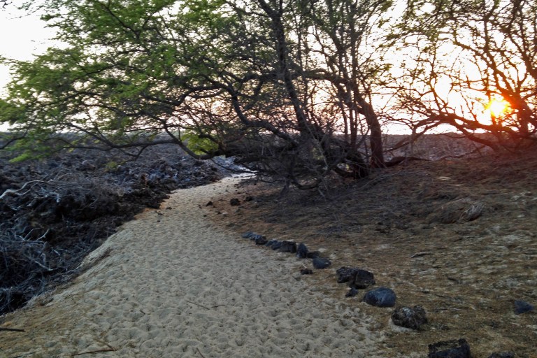 Hiking back to the car while watching the sunset.
