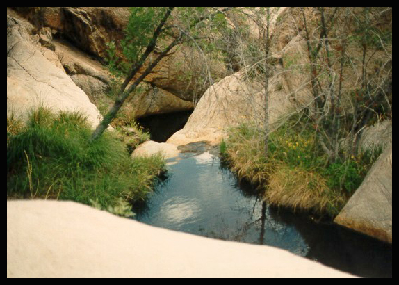 My pictures weren't that nice, but here's a glimpse of some of the pools. Credit - http://arizona.sierraclub.org/trail_guide/Hike23.htm