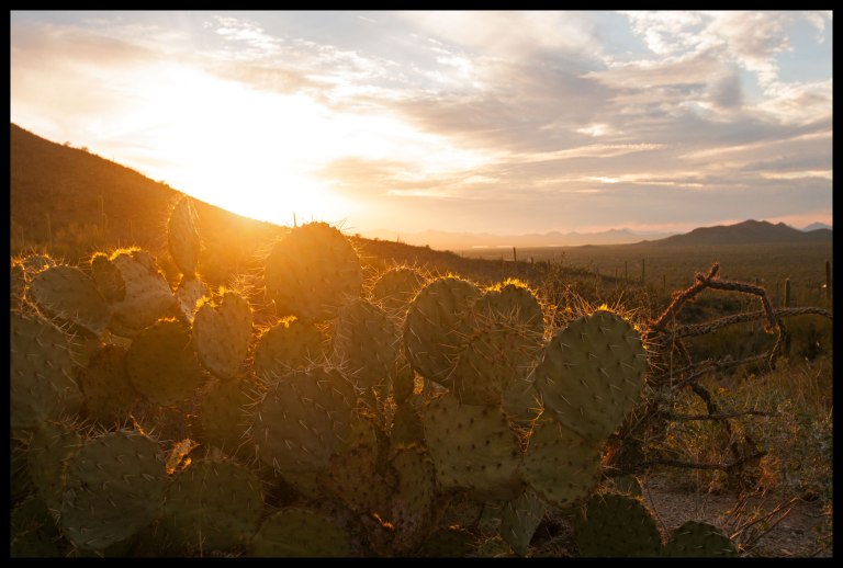 Sunset from Gate's Pass area.