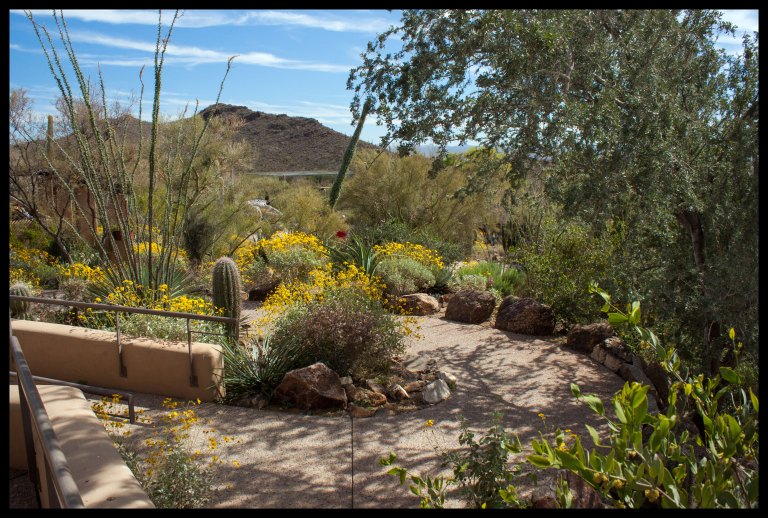 One of the many trails that wind through the outdoor museum.