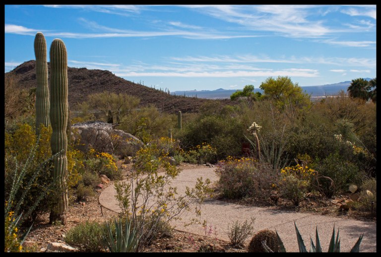 One of the many trails that wind through the outdoor museum.