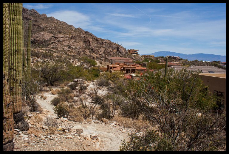 The trail begins near a couple of very nice neighborhoods. Eventually you find your way into the canyon and leave civilization behind.