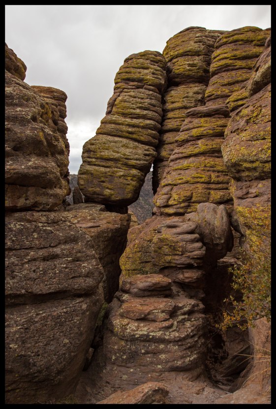 As we finished the climb up from Echo Canyon we spotted this rock, slumped against a nearby formation. This rock looked about how I felt by this point.