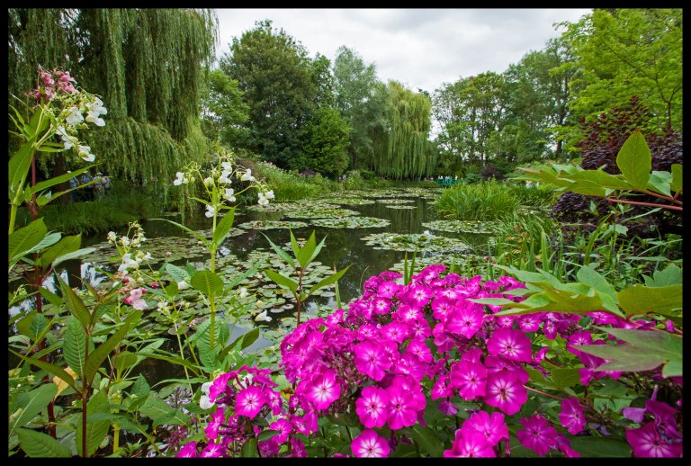 The famous water lilies and the Japanese bridge.