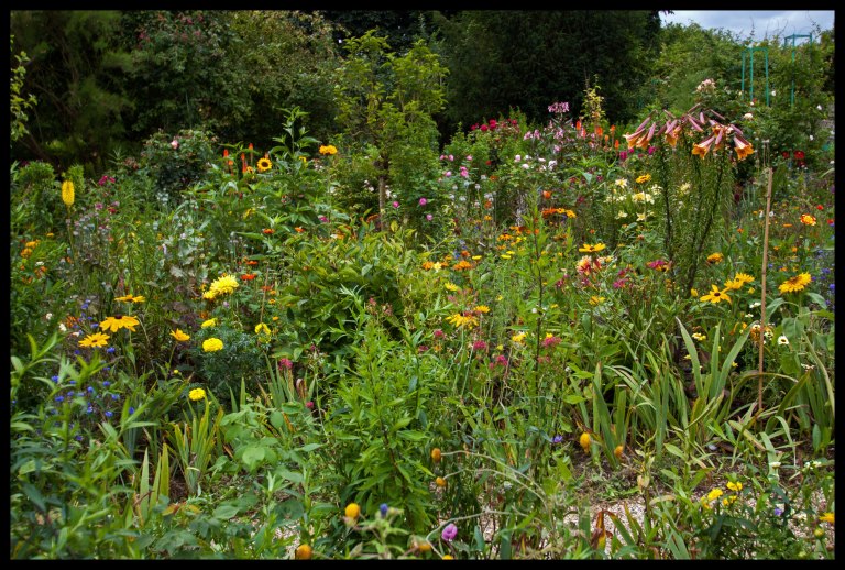 The gardens were a mess compared to those of Versailles, but I actually preferred the disorder.