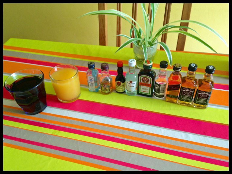 The line-up of freebies we got on the flight over.