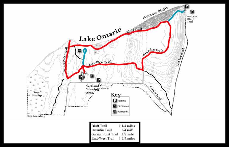 Map of my hiking path, main loop shown in red and detours shown in teal. The main loop was probably a little over 3 miles.