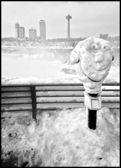 You won't have much luck looking through the spotter in winter, but at least it looks pretty happy.