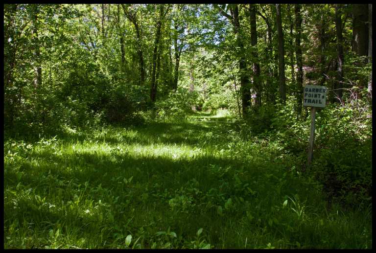 Turn-off of the East-West Trail onto Garner Point Trail.